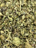 Shake | Mixed Hybrid