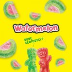 SOUR PATCH KIDS CANDY WATERMELON